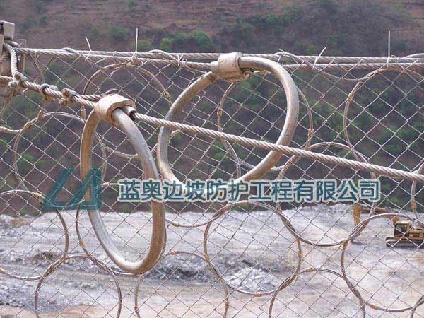 RXI100�ͱ��ӷ��o�W