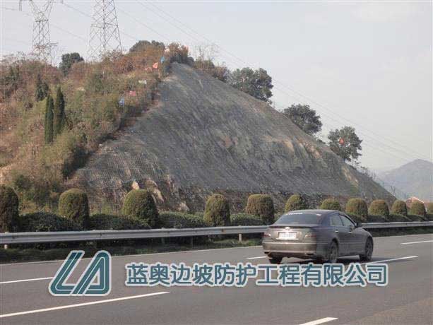 ߅�·��o�W(w��ng)�z��S�o