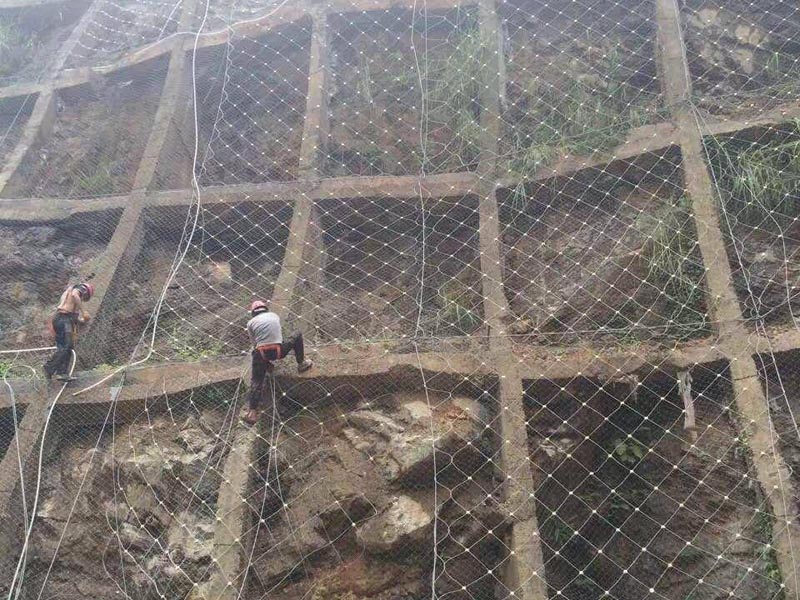 ���Ͼ��^(q��)���b߅�·��o�W(w��ng)�_���ӹ�߅�ºͱ��oֲ����Ŀ��